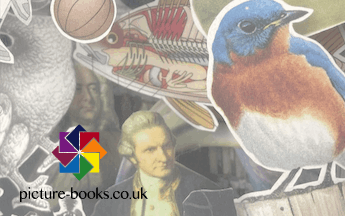 Picture Books from a home hobby to a multi income stream business